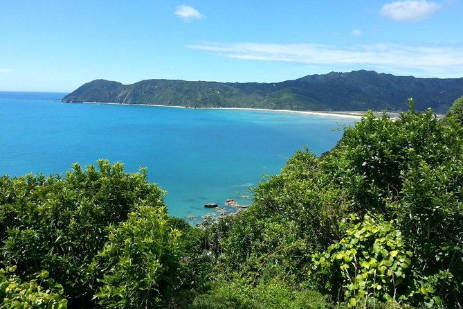 Golden Bay in a Day - Authentic Experiences According to Guests