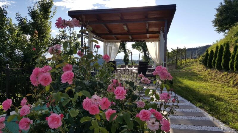 goriska-brda-wine-tasting-with-local-snacks