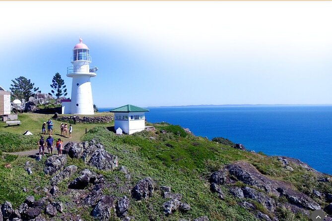 Great Beach Drive 4WD Tour - Private Charter from Noosa to Rainbow Beach - Wildlife and Scenic Experiences