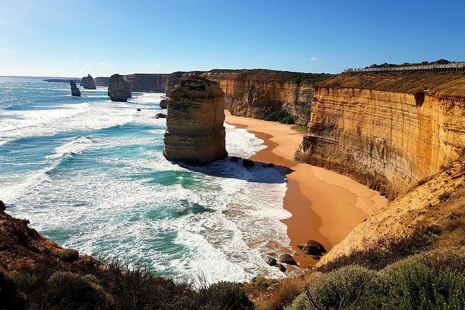Great Ocean Road Coastal Spectcular with Wildlife Wonders - Who Is This Tour Best Suited For?
