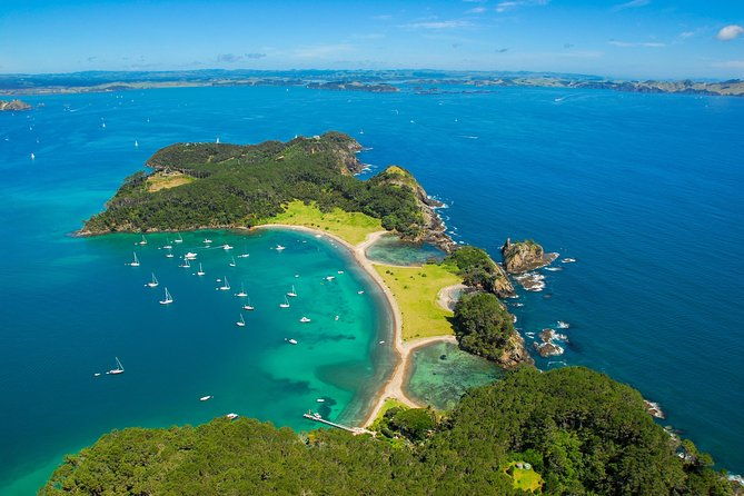 Group tour to Bay of Islands return from Auckland - Why Choose This Tour?