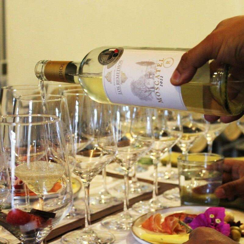 guanajuato-the-remedios-vineyard