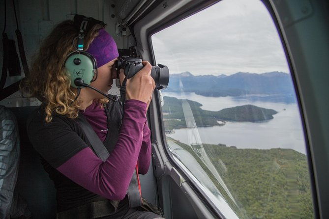 Guided Kepler Track Heli Hike - The Alpine Hike: From Luxmore Hut to the Lakeshore