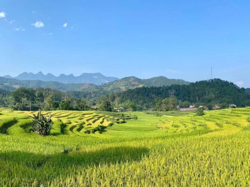 ha-giang-trekker-in-3d3n
