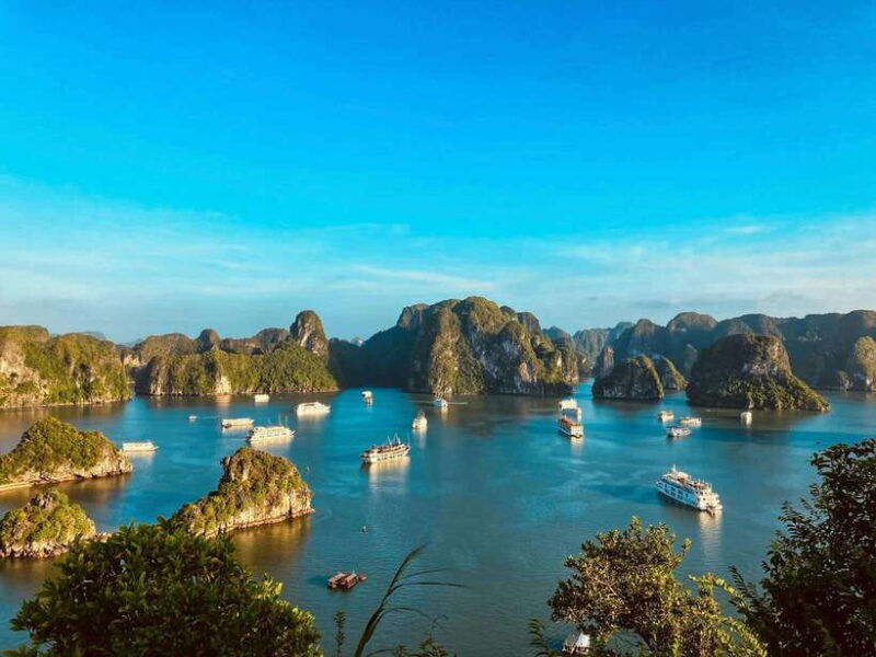ha-long-bay-1-day-kayaking-ti-top-island-surprising-cave