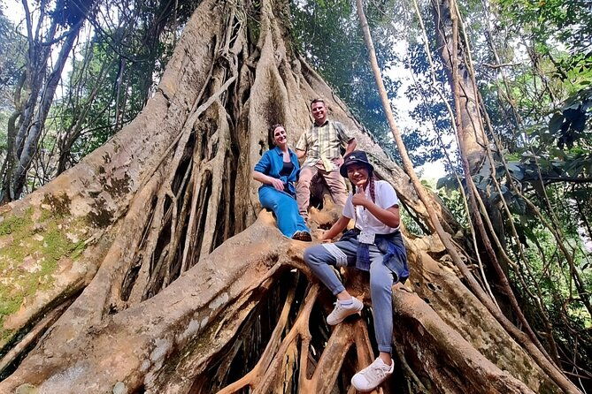 Haew Suwat Waterfall-Jungle Hiking to KM 33 Nong Pak Chi - Who Should Book This Tour?