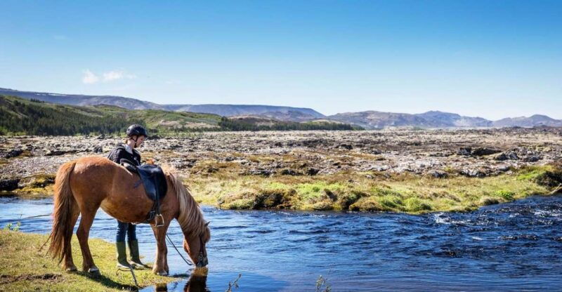 hafnarfjordur-horseback-riding-tour-in-reykjavik-area