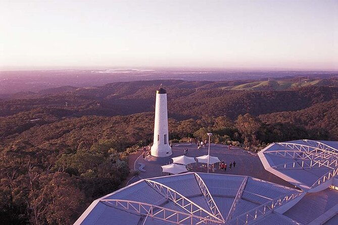 Hahndorf and Hills Wine and/or Gin Tour - Who Should Book This Tour?