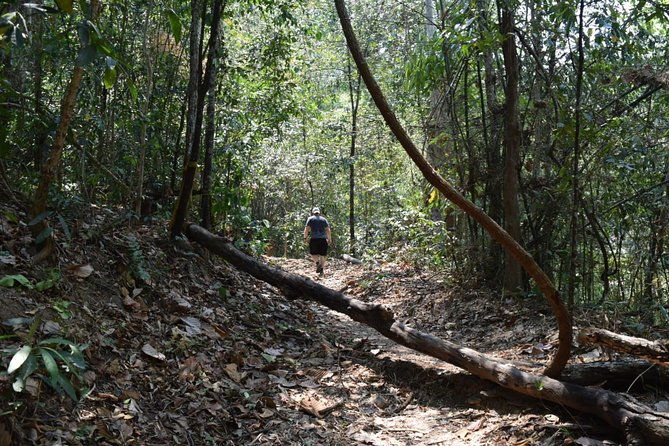Half Day Doi Suthep Temple and short trekking on monk trail (Private Tour) - An In-Depth Look at the Itinerary and Experience