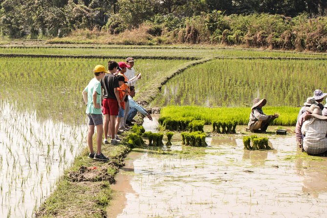 Half-Day Lanna Countryside Cycling Tour in Chiang Mai - What Sets This Tour Apart?