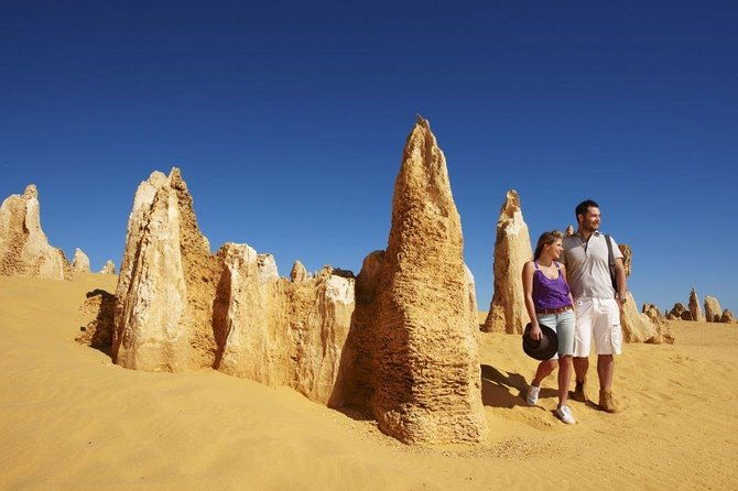 Half Day Pinnacles Sunset Tour - The Sum Up