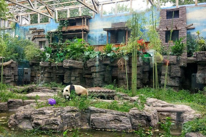 Half-Day Private Customized Beijing City Tour with Flexible Departure Time - Deep Dive into the Itinerary
