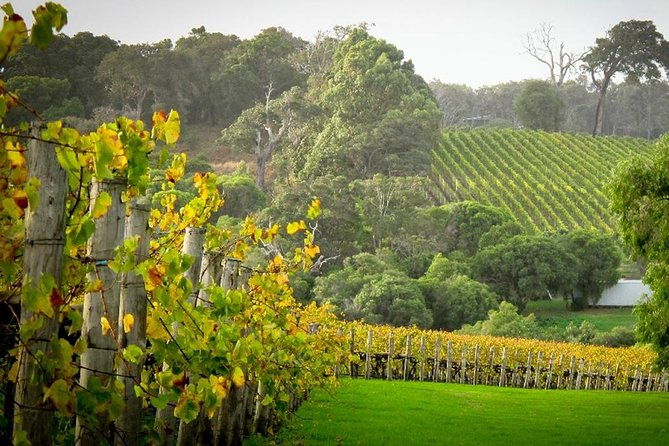 Half-Day Swan Valley & Wildlife Park Tour - Who Should Consider This Tour?