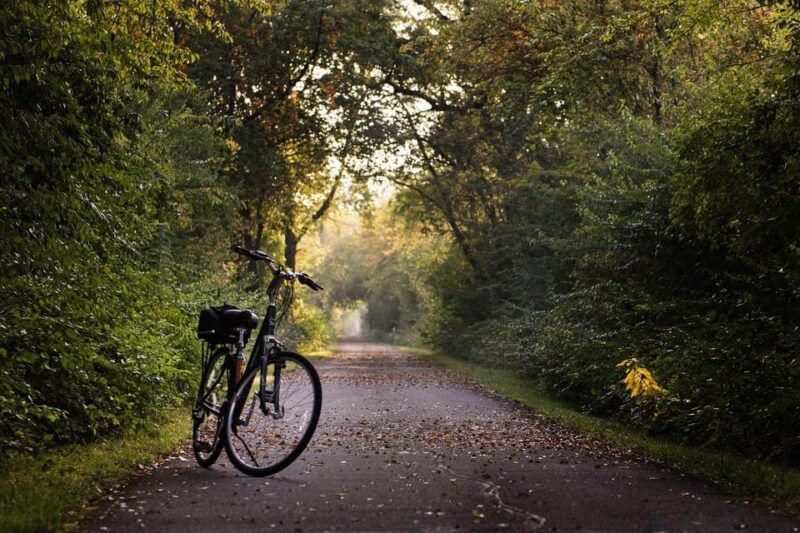 hamburg-english-bike-tour-around-the-outer-alster-lake