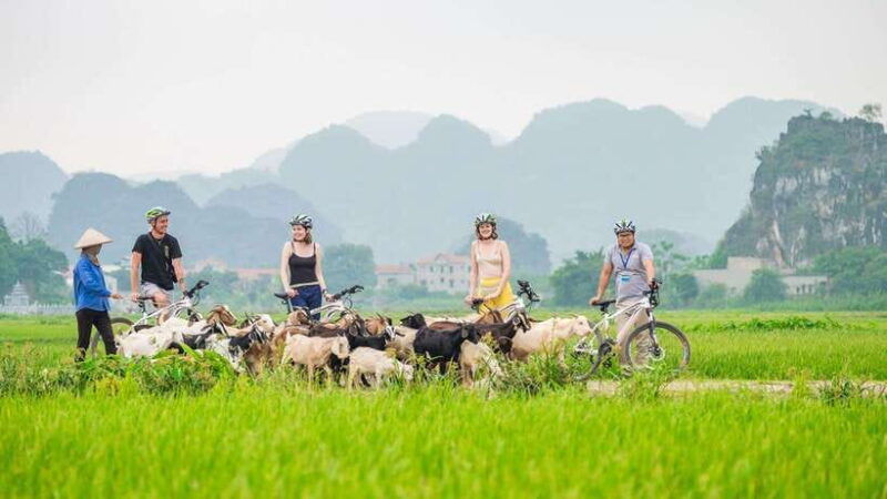 hanoi-ninh-binh-halong-on-land-hoa-lu-tam-coc-mua-cave