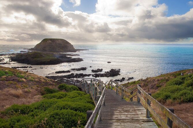 Healesville Sanctuary And Phillip Island Wildlife Bus Tour - The Sum Up