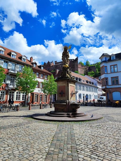 heidelberg-private-walking-tour-with-local-guide