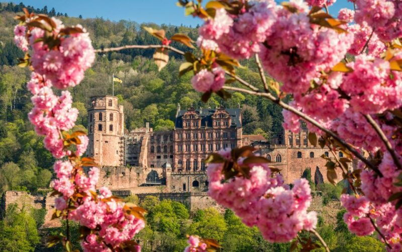 heidelberg-sightseeing-bus-and-castle-tour