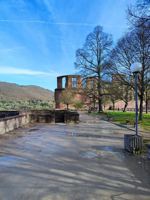 high-lights-of-heidelberg-private-tour-of-castle-and-town