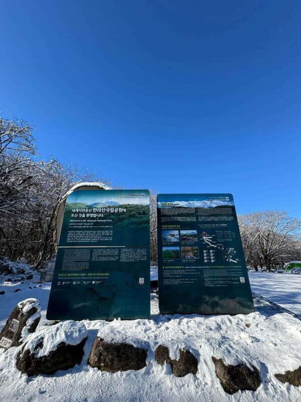 hike-hallasan-on-jeju-island-south-koreas-highest-mountain