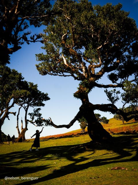 hike-in-fanal-in-a-different-way