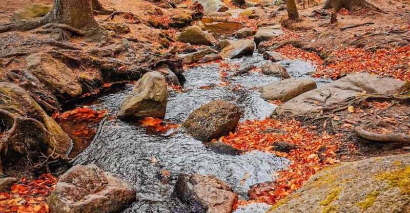 hike-in-polish-mountains-day-trip-to-rudawy-janowickie