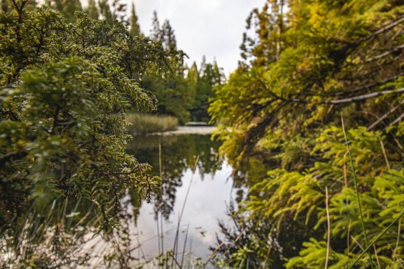 hiking-trails