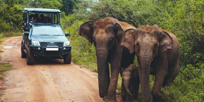 hikkaduwa-galle-unawatuna-mirissa-udawalawa-safari