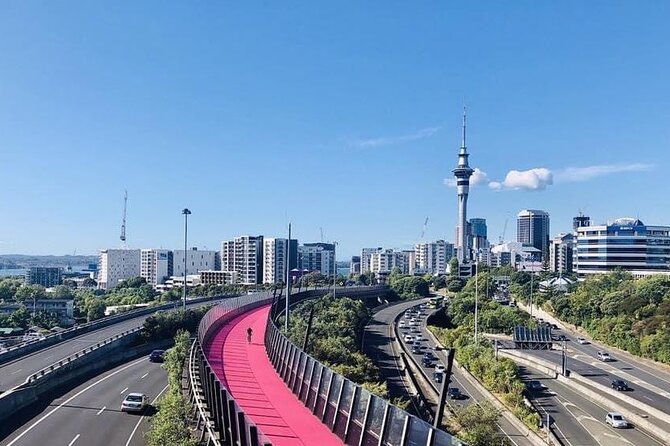 Hire A Driver For 2 Days From Auckland - Why This Service May Suit You