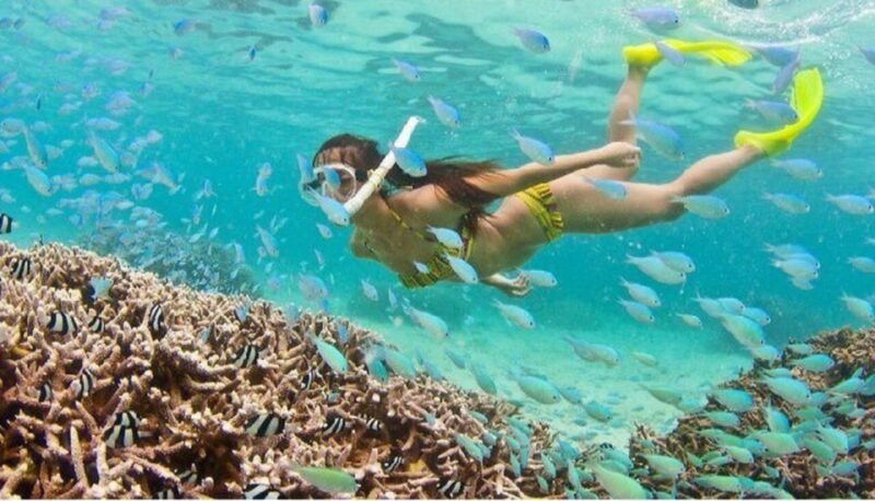 hoi-an-cham-islands-snorkeling-trip-by-speedboat-with-lunch