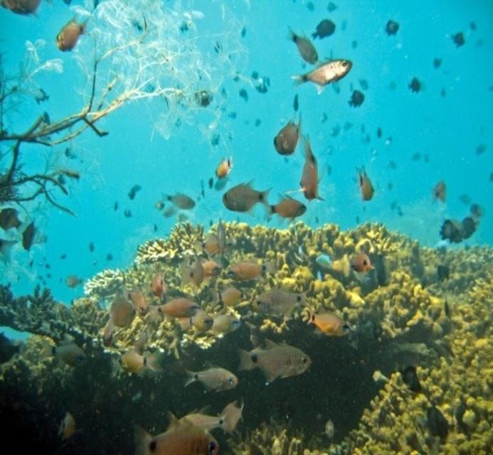 hoi-an-da-nang-cham-island-daily-tour-with-snorkeling