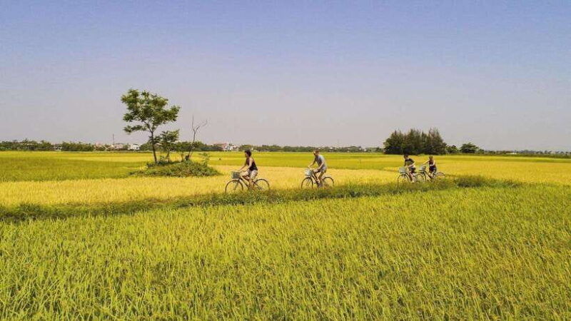 hoi-an-eco-bicycle-tour-with-fishing-and-lunch-dinner
