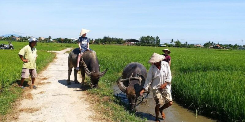 hoi-an-eco-farming-bicycle-tour-and-basket-boat-ride