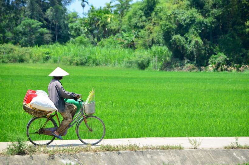 hoi-an-private-cycling-to-my-son-sanctuary-with-local-guide