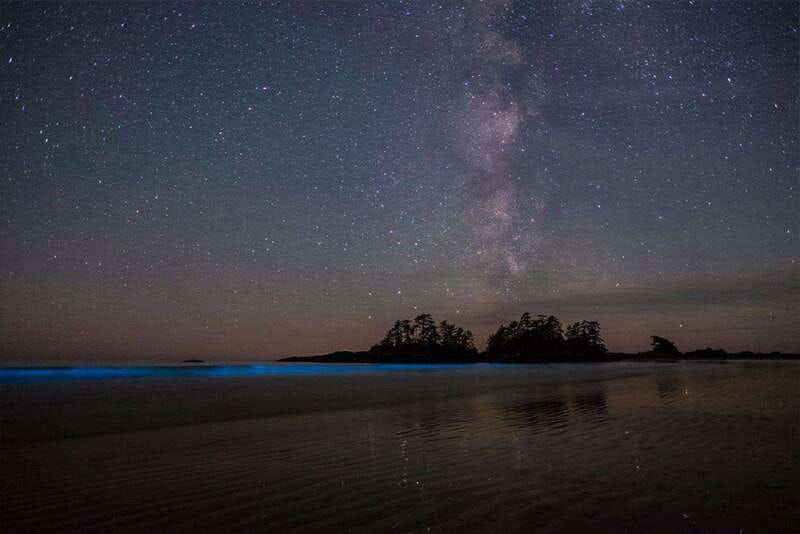 holbox-guided-bioluminescence-kayaking-tour