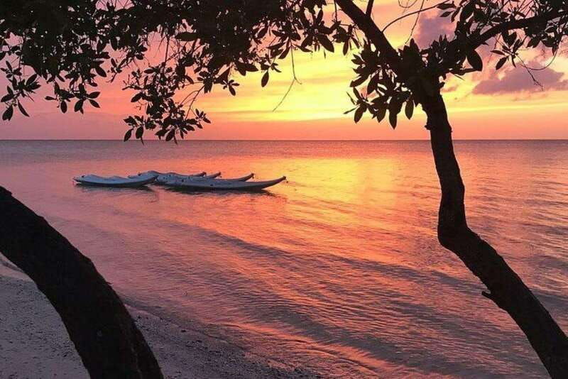 holbox-mangrove-paddling-excursion