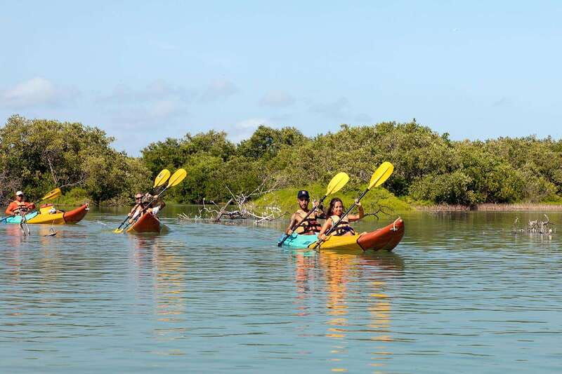 holbox-sunrise-kayak-tour-through-the-mangroves