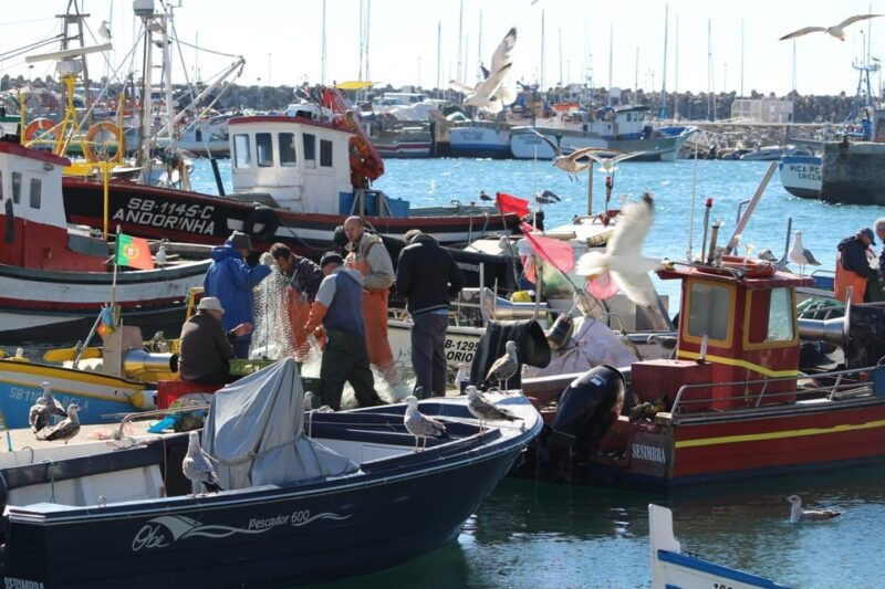 hooked-on-sesimbra-2