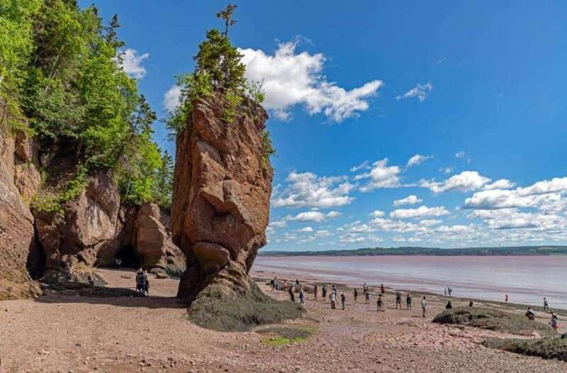 hopewell-rocks-and-fundy-national-park-private-tour