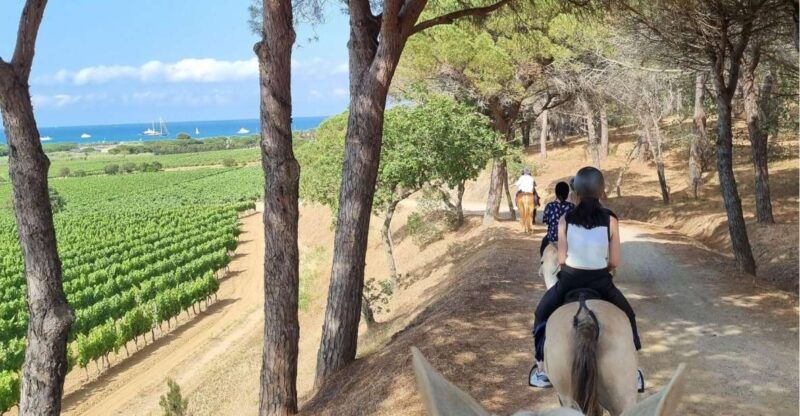 horse-back-riding-wine-tasting-in-ramatuelle