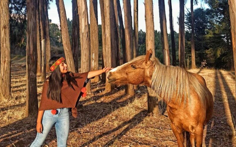 horse-ride-through-sacsayhuaman-qenqo-and-eucalyptus-forest