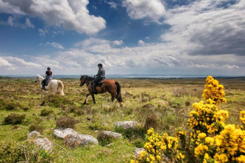 horse-riding-the-mountain-trail-clare-guided-2-hours