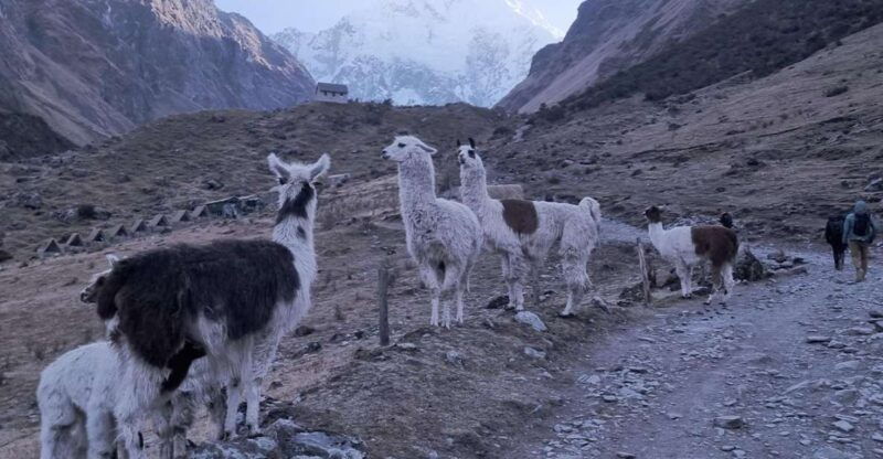 humantay-lake-tour-and-machu-picchu-tour-by-train