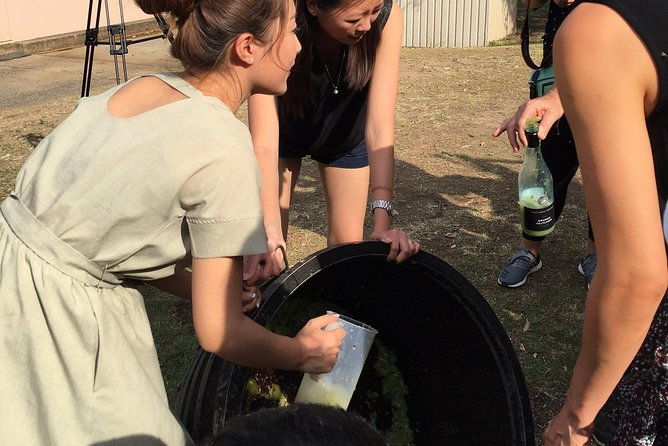 Hunter Valley Grape Stomping - FAQ