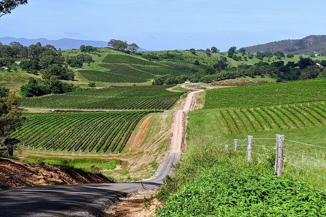 Hunter Valley wine and cheese starting from the Hunter region - Tasting Experiences – More Than Just Wine