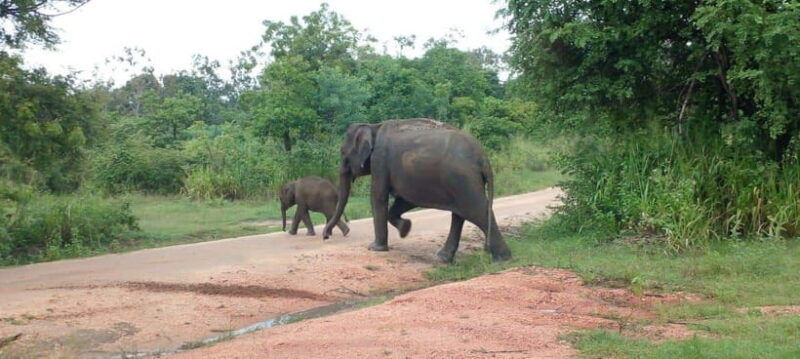 hurulu-eco-park-safari