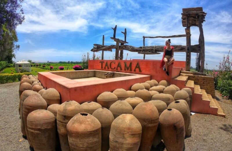 ica-pisco-wineries-and-vineyards-day-tour