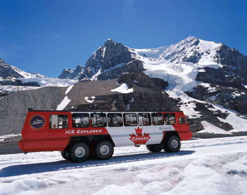 icefield-icefield-parkway-bow-lakes-peyto-lakes-day-tour
