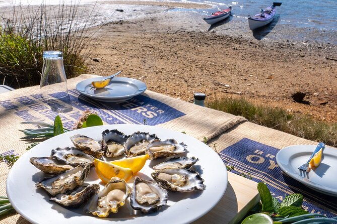 Informative Oyster Activity: Handling, Shucking & Storing + Kayaking - Final Thoughts