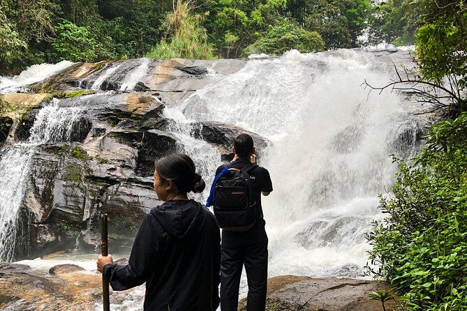 Inthanon National Park Tour with Soft Hike at Pha Dok Siew Trail - Exploring Nature Trails and Waterfalls